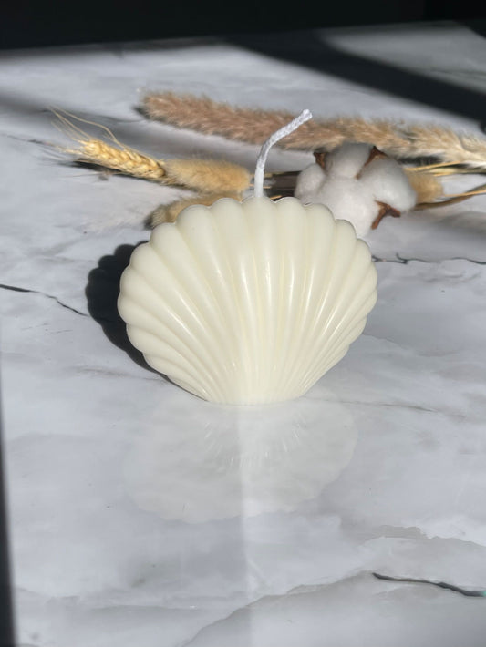 Shell Candle