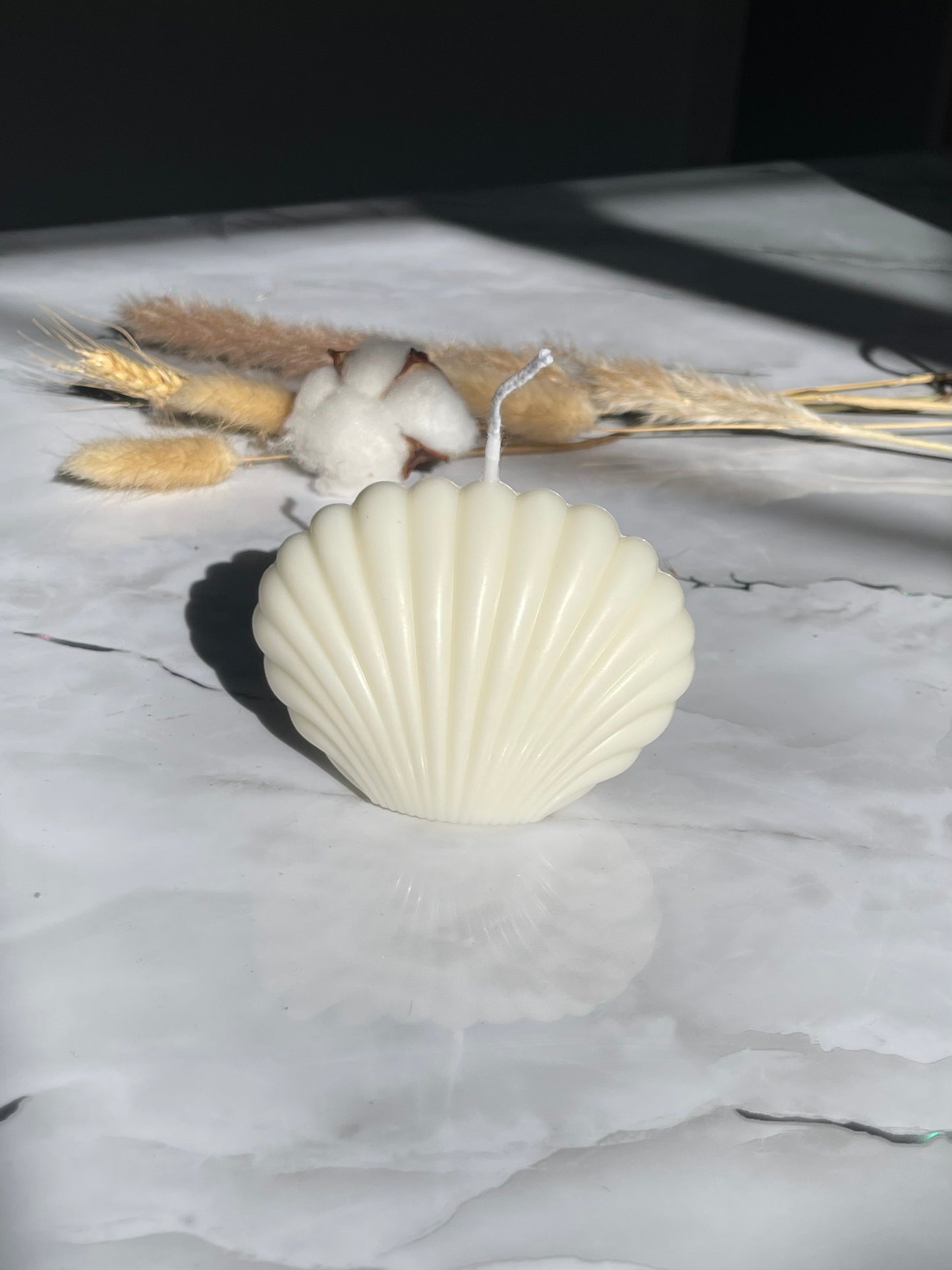 Shell Candle