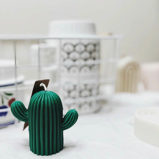 Cactus Candle sets of 2