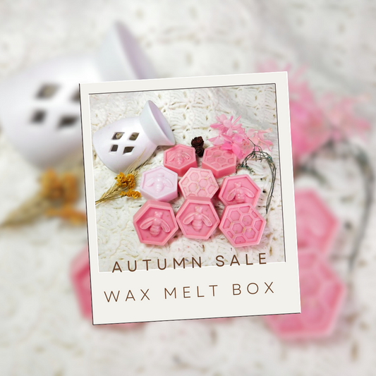 φθινόπωρο Wax Melts κουτίBliss Crafts