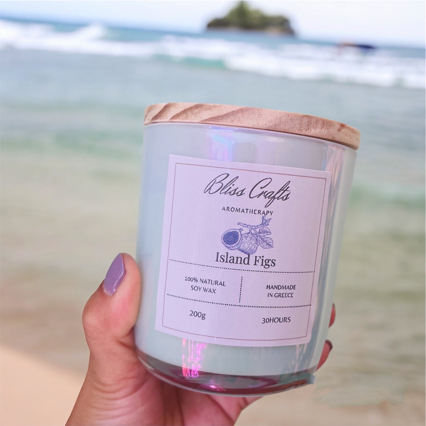 Summer Soy Wax  Candle Collection---2+1 Free Candle !