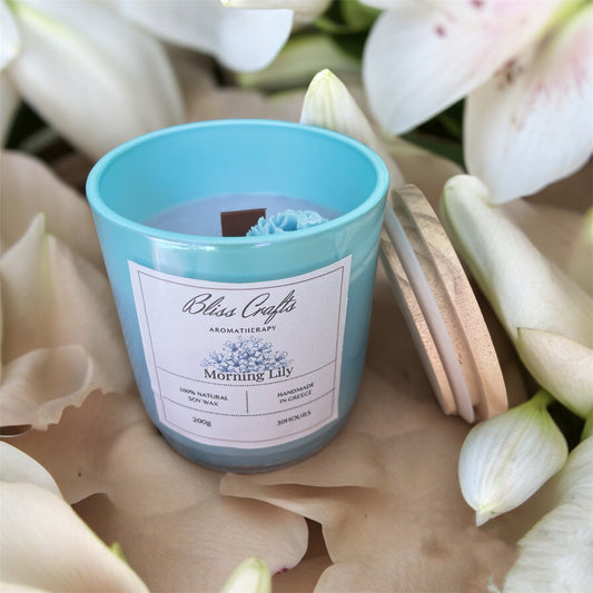 Summer Soy Wax  Candle Collection---2+1 Free Candle !